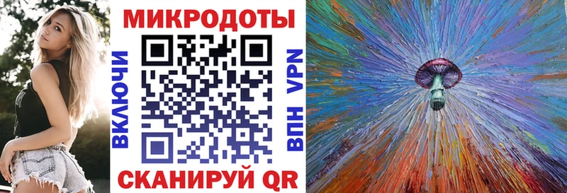 даркнет клад  Гаджиево  Псилоцибиновые грибы Psilocybine cubensis 